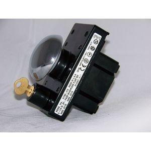 REES 01760-012 Pilzdrucktaster, Kolbenstil mit Sperrschlüssel | AX3KTU