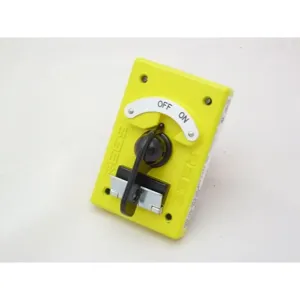 REES 04910-100 Rotary Contact Selector Switch, 2 Position/4 Pole | AX3KYX