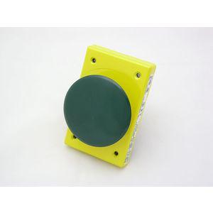 REES 04957-003 Flat Chrome Push-button, Snap-action, Green | AX3LCR