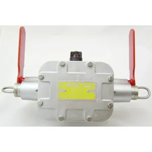 REES 04968-214 Explosion-proof Switch, Flag Indicator, Both Sides | AX3LEH