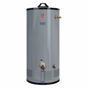 RHEEM G50-60N Commercial Gas Water Heater, Natural Gas, Low NOx, 48 Gallon, 60000 BTU | CT9AQL 49AJ66