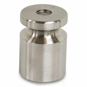 RICE LAKE 12509TR Calibration Weight, 200 g Nominal Mass, 5, Accredited | CT9AZT 55NC09