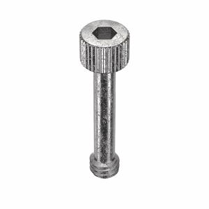 RICHARD MANNO CO. 114121-1250-SS Panel Screw, Stainless Steel, 1/4-20 X 1-1/4 Size, 5Pk | AB3ATU 1RB69