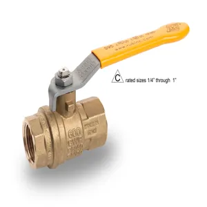 RUB VALVES S95E45 Ball Valve, 3/4 Inch NPT Size | CF3FTX