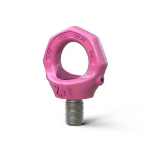 RUD CHAIN 7904625 Eye Bolt, M22 Nominal Size, 58 mm Pitch | CY3KBE