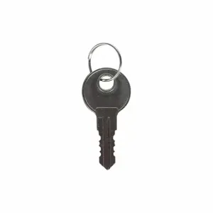 SAFETY TECHNOLOGY INTERNATIONAL KIT-H18054 Key, Silver, 2 PK | CT9RLD 54JF42