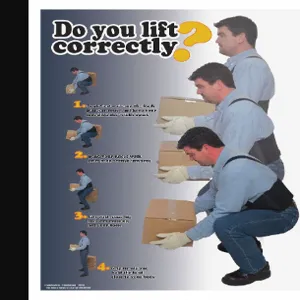 SAFETYPOSTER SW0183 Do You Lift Correctly Safety Poster, 22 Inch x 17 Inch Size | CH6RPQ 35LG96