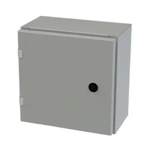 SAGINAW SCE-12EL1206LP Enclosure, 12 x 12 x 6 Inch Size, Wall Mount, Carbon Steel, Ansi 61 Gray | CV6QFL