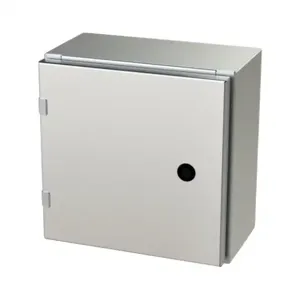 SAGINAW SCE-12EL1206SSLP Enclosure, 12 x 12 x 6 Inch Size, Wall Mount, 304 Stainless Steel, #4 Brush Finish | CV6QFP