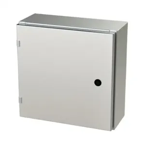 SAGINAW SCE-16EL1606SS6LP Enclosure, 16 x 16 x 6 Inch Size, Wall Mount, 316L Stainless Steel, #4 Brush Finish | CV6QKF