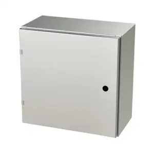 SAGINAW SCE-20EL2010SSLP Enclosure, 20 x 20 x 10 Inch Size, Wall Mount, 304 Stainless Steel, #4 Brush Finish | CV6QPQ