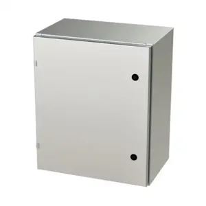 SAGINAW SCE-24EL2012SS6LP Enclosure, 24 x 20 x 12 Inch Size, Wall Mount, 316L Stainless Steel, #4 Brush Finish | CV6QTP