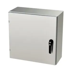 SAGINAW SCE-24EL2410SS6LPPL Enclosure, 24 x 24 x 10 Inch Size, Wall Mount, 316L Stainless Steel, #4 Brush Finish | CV6QUG