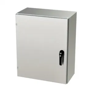 SAGINAW SCE-30EL2412SS6LPPL Enclosure, 30 x 24 x 12 Inch Size, Wall Mount, 316L Stainless Steel, #4 Brush Finish | CV6QZH