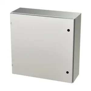 SAGINAW SCE-30EL3010SS6LP Enclosure, 30 x 30 x 10 Inch Size, Wall Mount, 316L Stainless Steel, #4 Brush Finish | CV6RAD