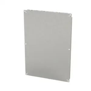 SAGINAW SCE-42P30SS Subpanel, 304 Stainless Steel, #4 Brush Finish | CV6XAT