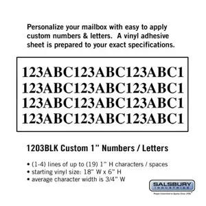 SALSBURY INDUSTRIES 1203 Custom Letter and Number Set, 18 x 6 Inch Size, Horizontal | CE7GWY