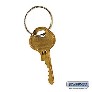 SALSBURY INDUSTRIES 19911 Master Control Key, 0.75 x 1.75 x 0.25 Inch Size | CE7HFZ