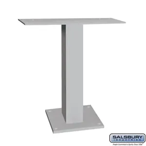 SALSBURY INDUSTRIES 19985ALM Pedestal, 22 x 24.5 x 10 Inch Size, Aluminium | CE7HXH