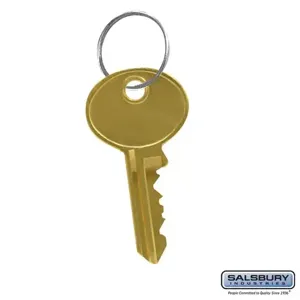 SALSBURY INDUSTRIES 19991 Master Control Key, 0.5 x 2 x 0.25 Inch Size | CE7HGC