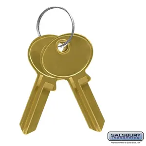 SALSBURY INDUSTRIES 19999 Key Blanks, 3 x 3 x 1 Inch Size, Pack of 50 | CE7HEQ