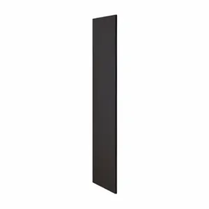 SALSBURY INDUSTRIES 22235BLK End For 21 Inch Locker Dp | CT9RYT 39FE82