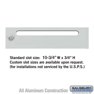 SALSBURY INDUSTRIES 3769 Horizontal Mailbox Mail Slot, 10.75 x 0.75 Inch Size | CE7HFU