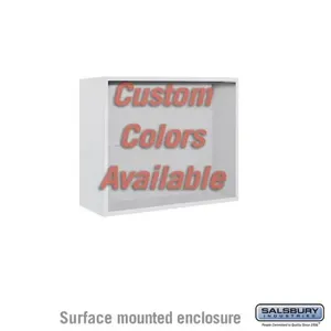 SALSBURY INDUSTRIES 3806D-CST Enclosure, 32.25 x 24.625 x 17.5 Inch Size, Custom Color, Surface Mounted | CE7JWW