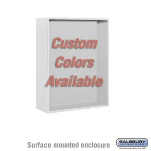 SALSBURY INDUSTRIES 3810D-CST Enclosure, 32.25 x 38.625 x 17.5 Inch Size, Custom Color, Surface Mounted | CE7JXA