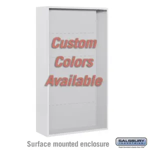 SALSBURY INDUSTRIES 3816D-CST Enclosure, 32.25 x 57.875 x 17.5 Inch Size, Custom Color, Surface Mounted | CE7JXJ