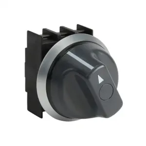 SCHMERSAL NWT21 Selector Switch, IP67 And IP69K, 22mm, 2-Position, Spring Return From Right | CV7YMQ