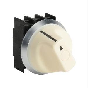 SCHMERSAL NWT21WS Selector Switch, IP67 And IP69K, 22mm, 2-Position, Spring Return From Right | CV7YMR