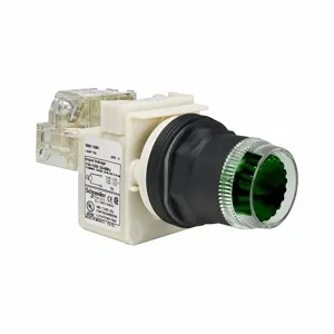 SCHNEIDER ELECTRIC 9001SK2L1G Illuminated Push Button Operator 30mm Green | AF9JJE 2NMF4