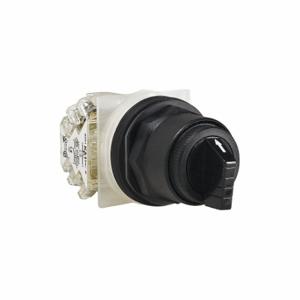 SCHNEIDER ELECTRIC 9001SKS42FBH21 Selector Switch, 30 mm Size, Plastic | CU2DTK 55WR59