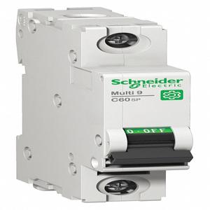 SCHNEIDER ELECTRIC M9F21102 Iec Supplementary Protector, 2A, Rating 240/415VAC, Rating 60VDC | CH6QCL 482K28