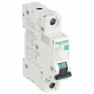 SCHNEIDER ELECTRIC M9F21102 Iec Supplementary Protector, 2A, Rating 240/415VAC, Rating 60VDC | CH6QCL 482K28