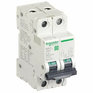 SCHNEIDER ELECTRIC M9F21202 Iec Supplementary Protector, 2A, Rating 240/415/440VAC | CH6QDB 482K46