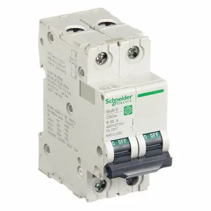 SCHNEIDER ELECTRIC M9F21250 Iec Supplementary Protector, 50A, Rating 240/415/440VAC | CH6QDN 482K60