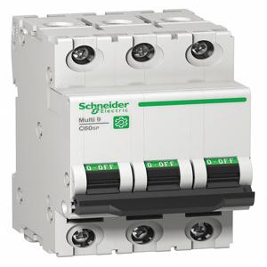 SCHNEIDER ELECTRIC M9F22325 Iec Supplementary Protector, 25A, Rating 240/415/440VAC | CH6QFT 482L31
