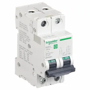 SCHNEIDER ELECTRIC M9F22201 Iec Supplementary Protector, 1A, Rating 240/415/440VAC | CH6QEW 482L07