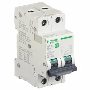 SCHNEIDER ELECTRIC M9F22202 Supplementary Protector, 2A, 240/415/440VAC | CH6QEX 482L08