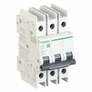 SCHNEIDER ELECTRIC M9F43302 Miniature Circuit Breaker, 2A, D Curve Type, 240/277/480VAC Voltage Rating | CH6QLP 482N01