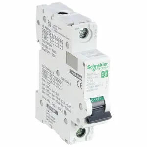 SCHNEIDER ELECTRIC M9U21101 Supplementary Protector, 1A, 250VDC | CH6QMC 482N72