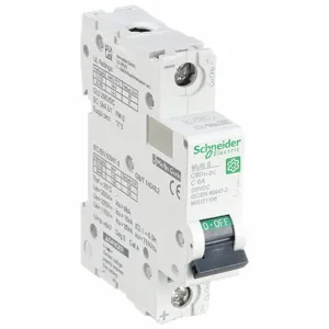 SCHNEIDER ELECTRIC M9U21106 Iec Supplementary Protector, 6A, Rating Not Rated, Rating 250VDC | CH6QMF 482N76