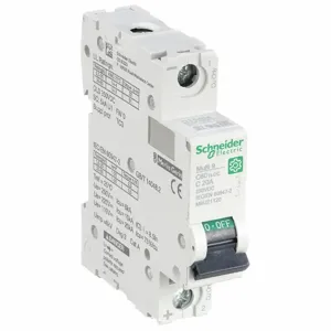 SCHNEIDER ELECTRIC M9U21120 Iec Supplementary Protector, 20A, Rating Not Rated, Rating 250VDC | CH6QMJ 482N80