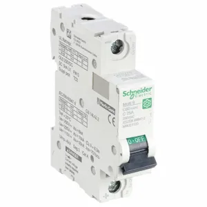 SCHNEIDER ELECTRIC M9U21125 Iec Supplementary Protector, 25A, Rating Not Rated, Rating 250VDC | CH6QMK 482N81