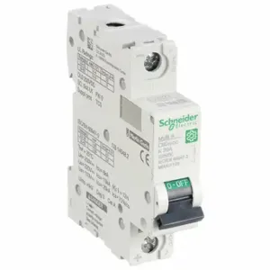 SCHNEIDER ELECTRIC M9U31120 Iec Supplementary Protector, 20 A, 250 Vdc, 5 Ka At 250 Vdc, Screw Clamp | CU2BRP 482P11