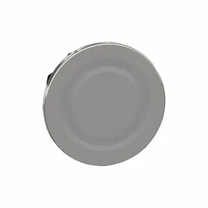 SCHNEIDER ELECTRIC ZB4FSZ3 Flush Mounting Plug, Chromium Plated, 30 nmm Size | CF2DFQ 55XA93