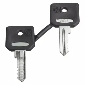 SCHNEIDER ELECTRIC ZBG421E Set Of 2 Key | CU2BVV 48R817