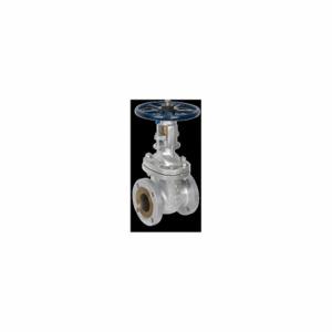 SHARPE VALVES 4371005600 Gate Valves, Class 150, 2 Inch Pipe Size, 720 PSI Max. Water Pressure | CU2NTR 802EP1
